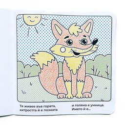 Рисувам с вода — Гатанки В гората